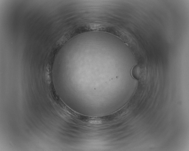 X0000068850653200605191952