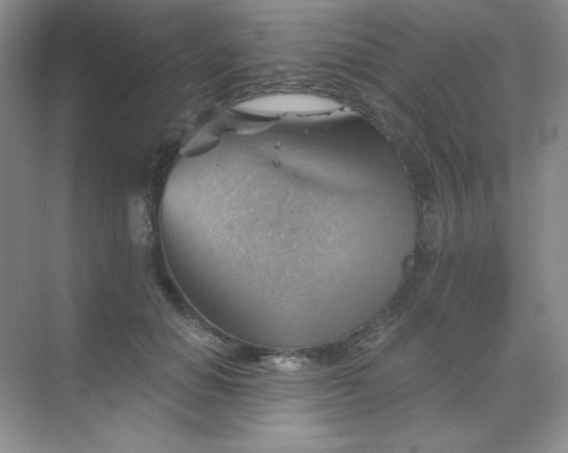 X0000068850654200605191952