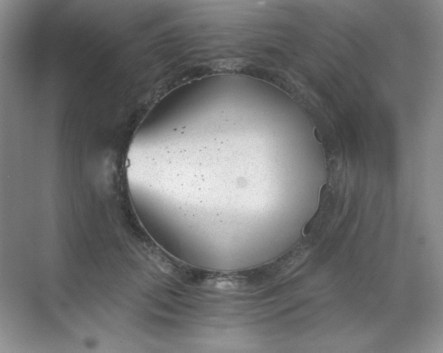 X0000068850655200605191952