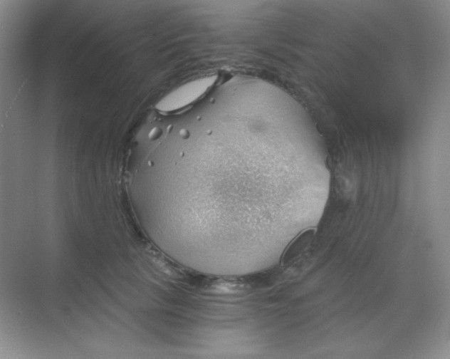 X0000068850657200605191952