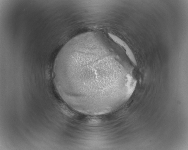 X0000068850658200605191952