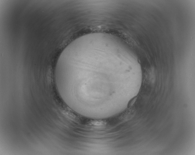 X0000068850659200605191953