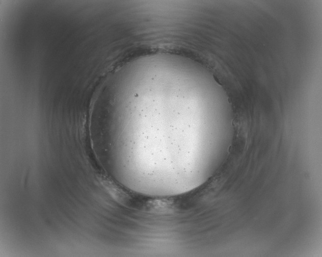 X0000068850660200605191953