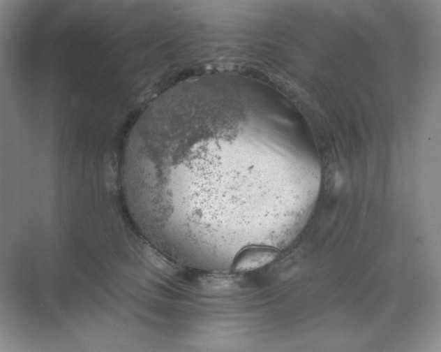 X0000068850661200605191953