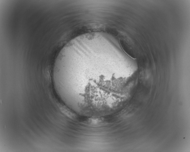 X0000068850662200605191953