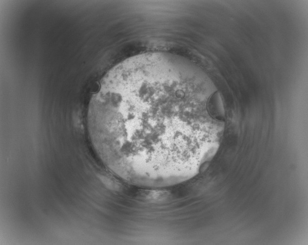 X0000068850663200605191953