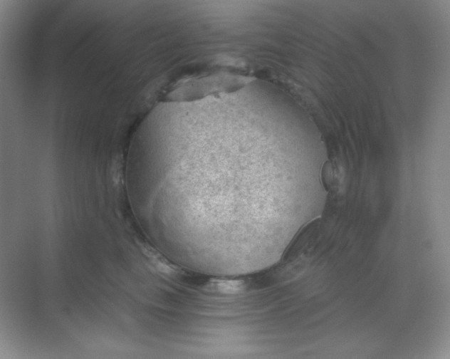 X0000068850665200605191953