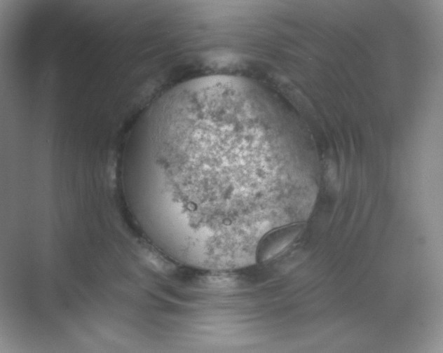 X0000068850668200605191953