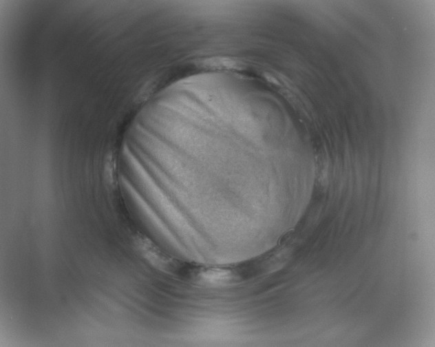 X0000068850669200605191953