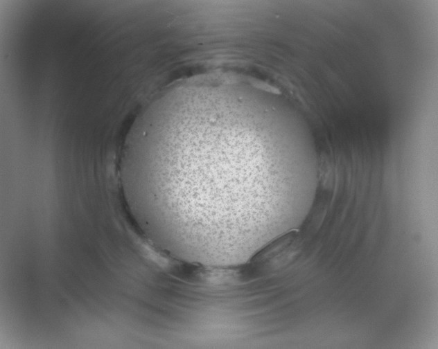 X0000068850670200605191953