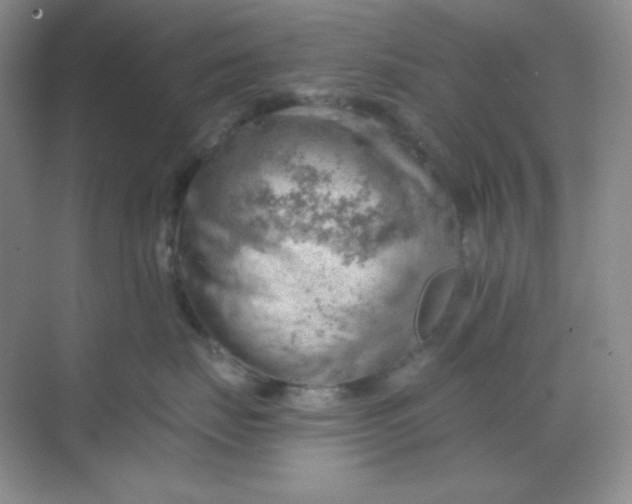 X0000068850671200605191953