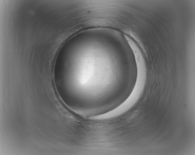 X0000068850673200605191952