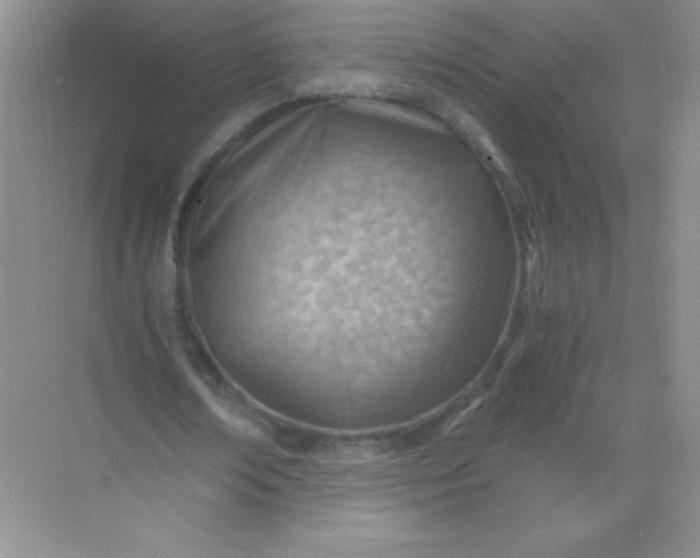 X0000068850674200605191952