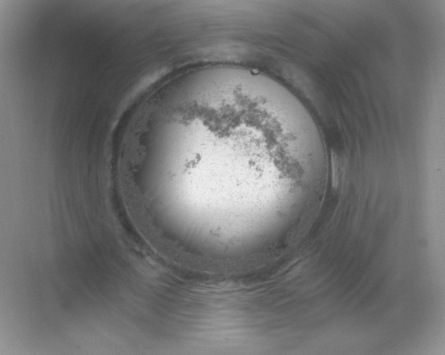 X0000068850675200605191952