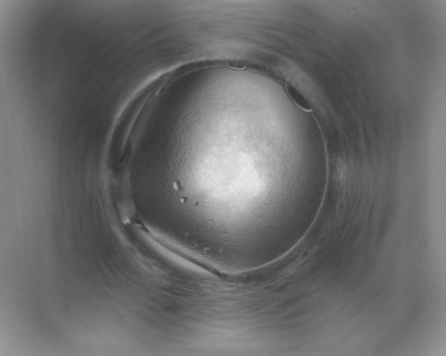 X0000068850676200605191952