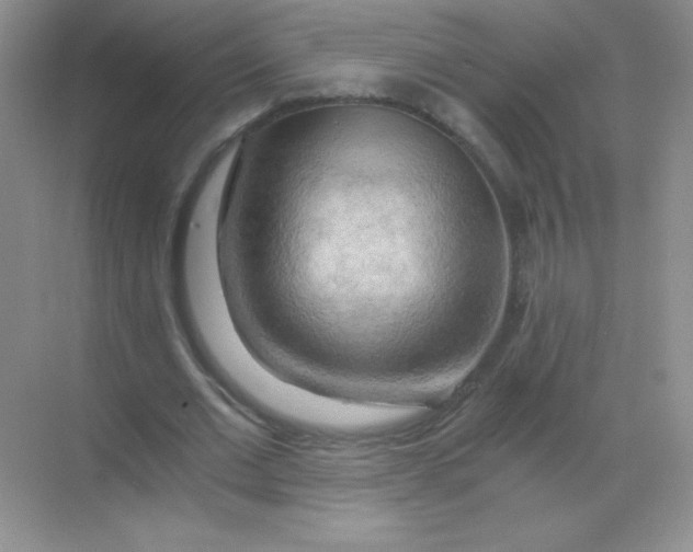 X0000068850677200605191952