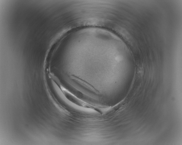 X0000068850678200605191952