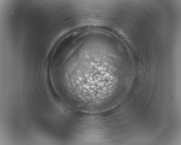 X0000068850679200605191952