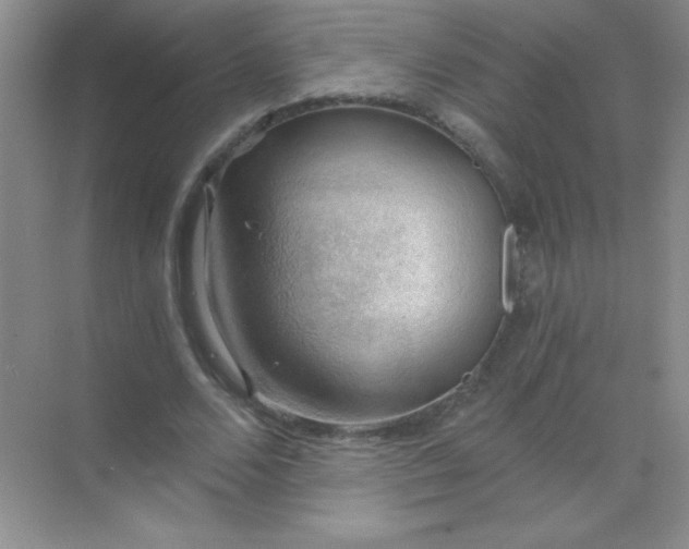 X0000068850680200605191952