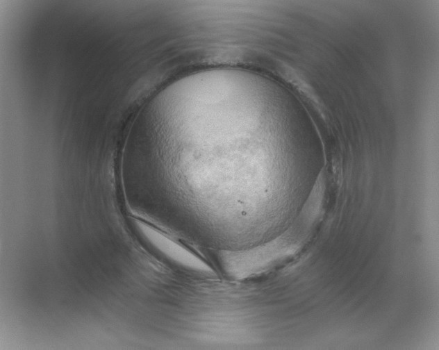 X0000068850681200605191952