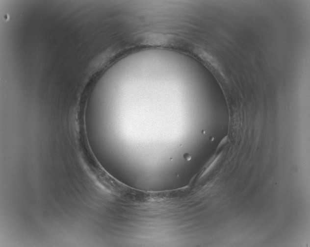 X0000068850682200605191952