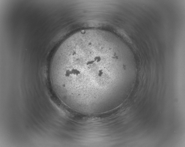 X0000068850683200605191952