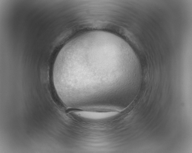 X0000068850685200605191952