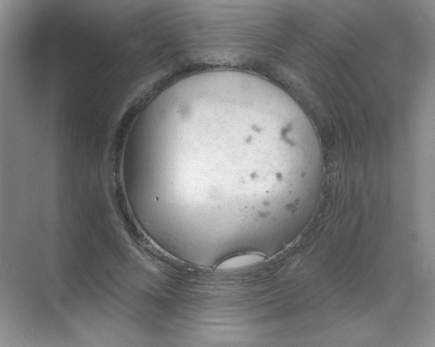 X0000068850688200605191952