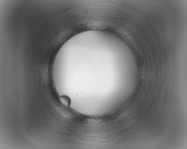 X0000068850690200605191952