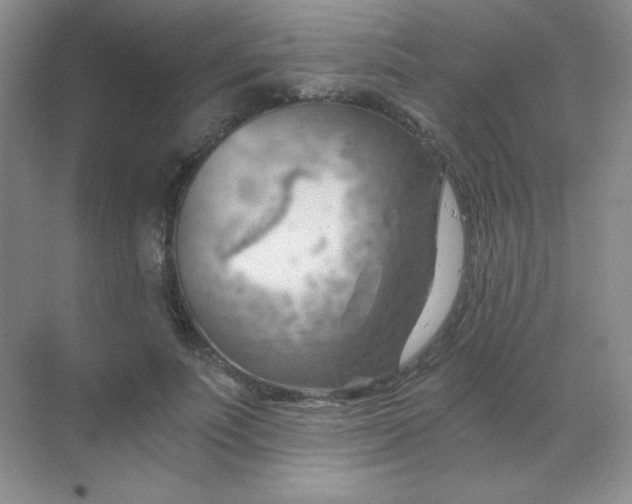 X0000068850691200605191952