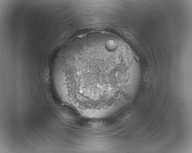 X0000068850693200605191952