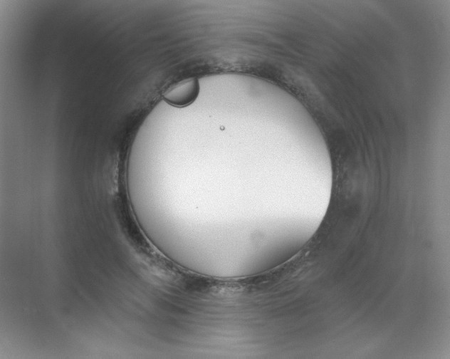 X0000068850694200605191952