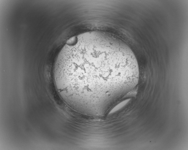 X0000068850695200605191952