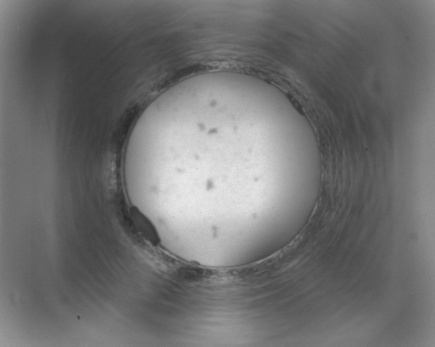 X0000068850696200605191952