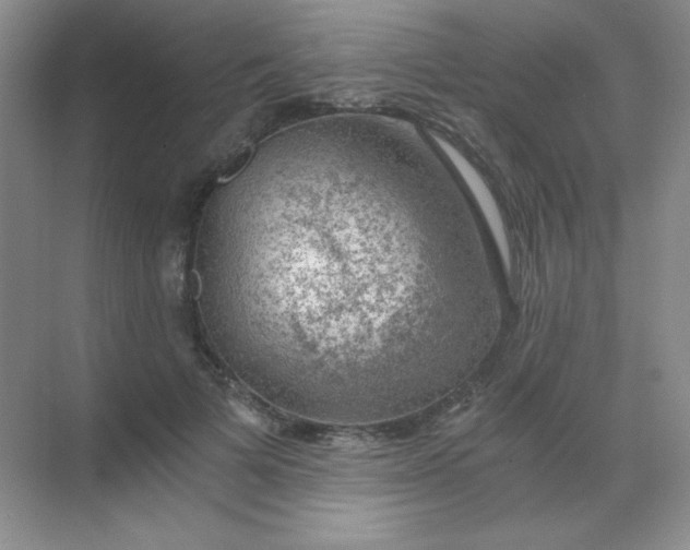 X0000068850697200605191952