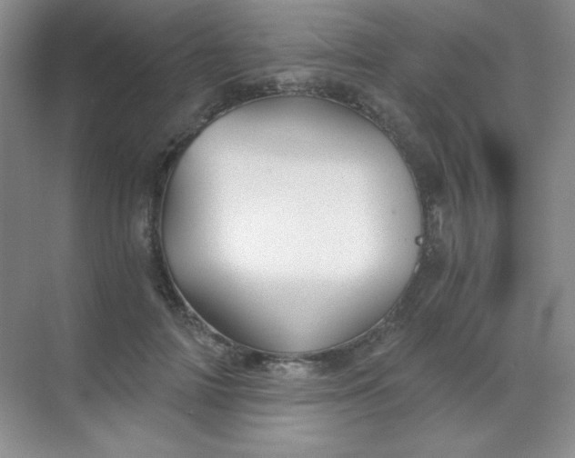 X0000068850698200605191951