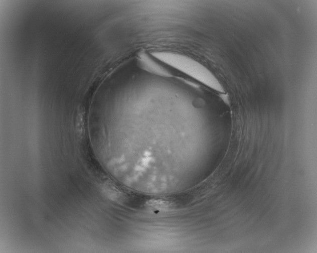 X0000068850699200605191951