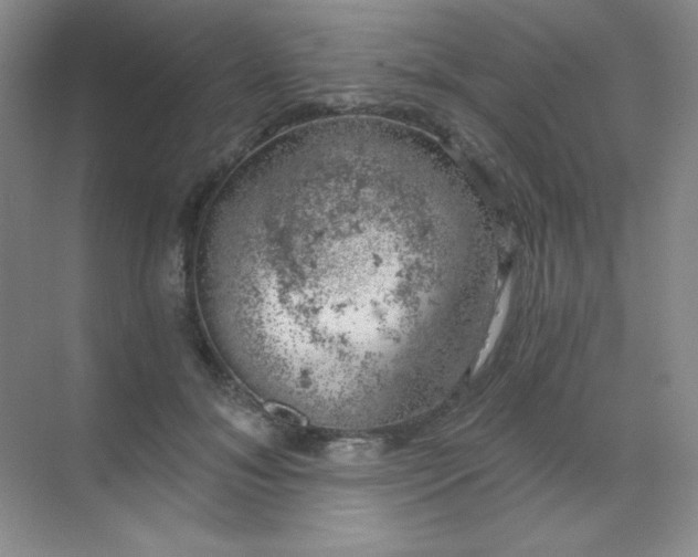 X0000068850700200605191951