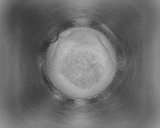 X0000068850701200605191951