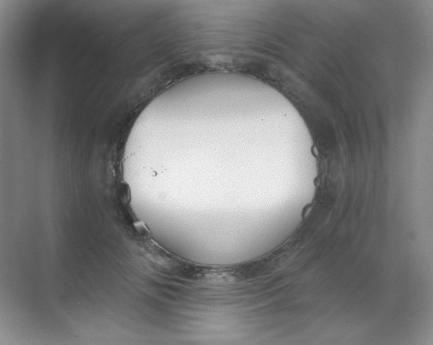 X0000068850702200605191951