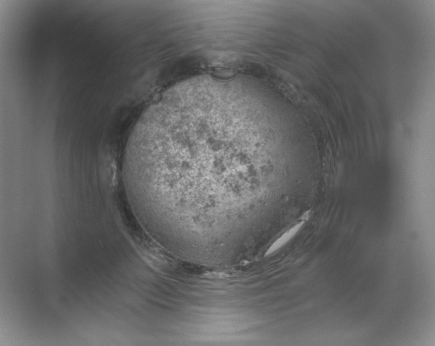 X0000068850703200605191951