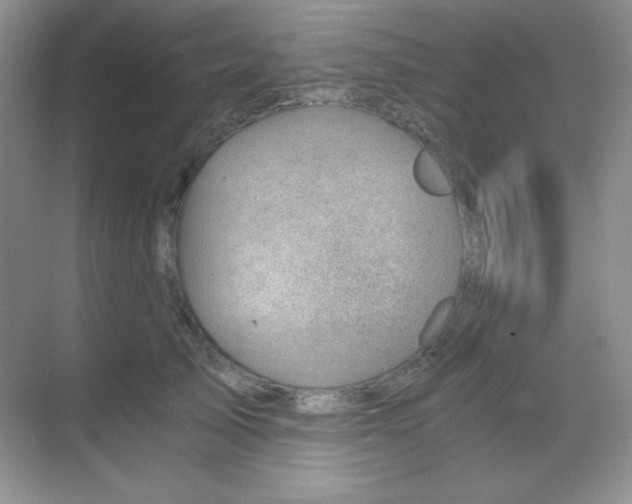 X0000068850705200605191951