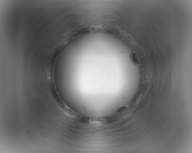 X0000068850706200605191951