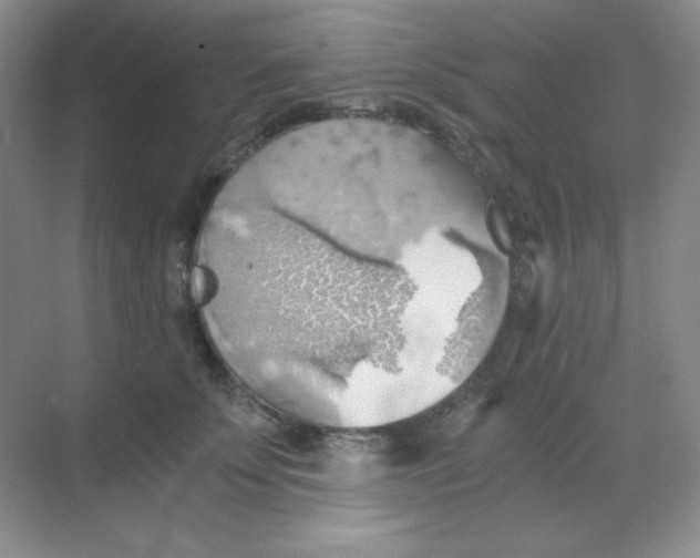 X0000068850707200605191951