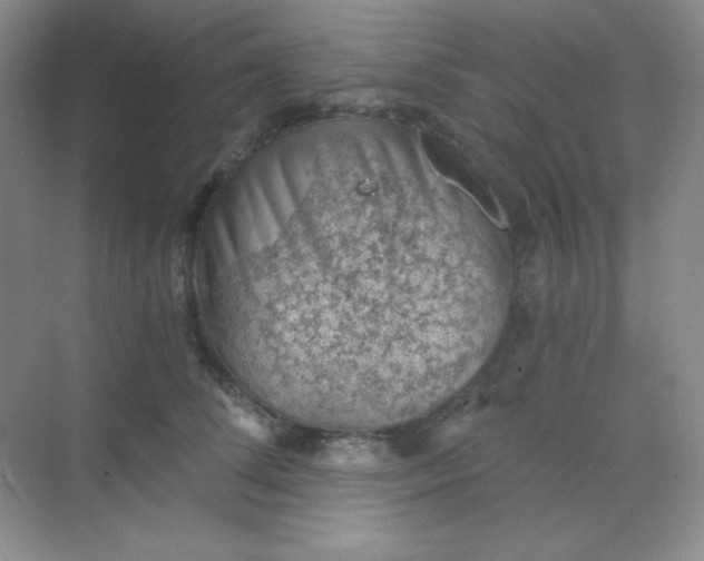 X0000068850708200605191951