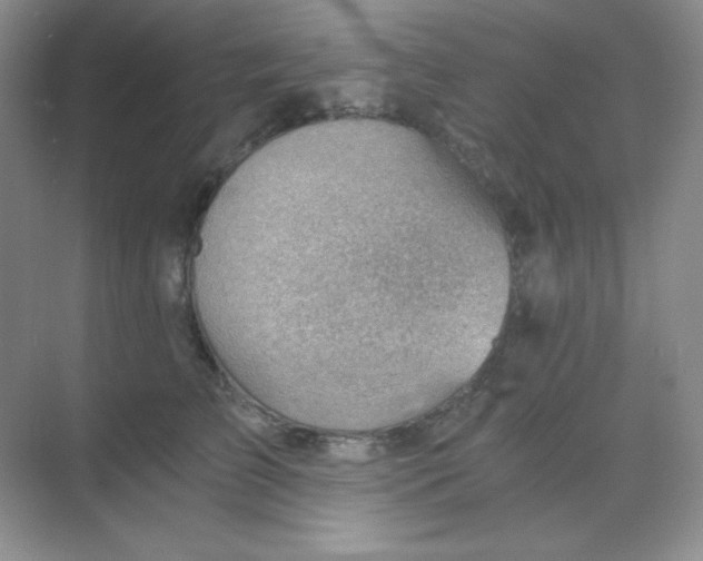 X0000068850709200605191951