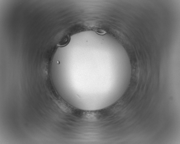 X0000068850710200605191951