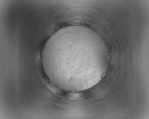 X0000068850711200605191951