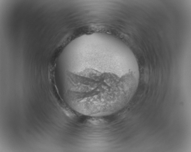 X0000068850712200605191951