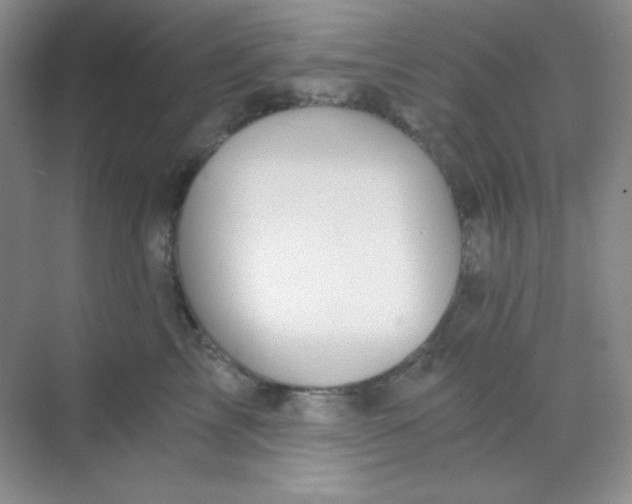 X0000068850713200605191951